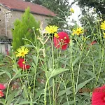 Avec Piscine Privee Et Vue Chateau Proche Sarlat - Fr-1-616-39