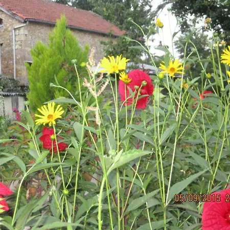 Maison Avec Jardin, Wifi, Animaux Acceptes, Parking A - Fr-1-616-39