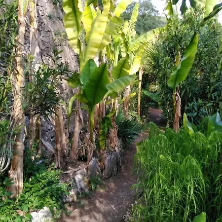 Maison Avec Jardin, Wifi, Animaux Acceptes, Parking A - Fr-1-616-39 Apartment Beynac-et-Cazenac